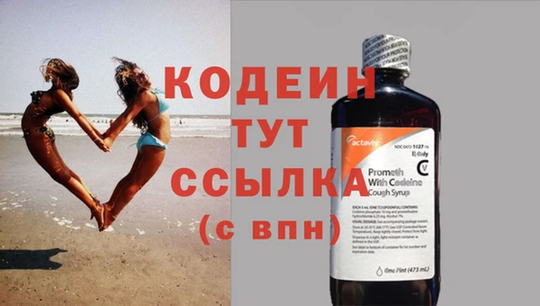 прущие крисы Корсаков