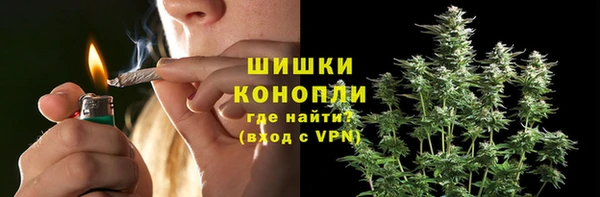 прущие крисы Корсаков